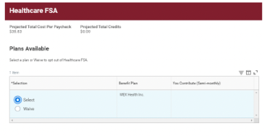 Healthcare FSA section on workday